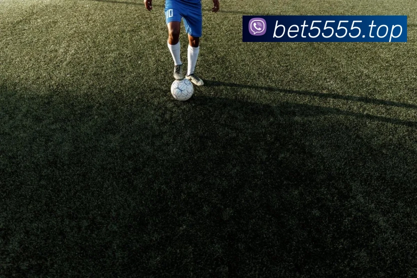 bet365com平台生态图